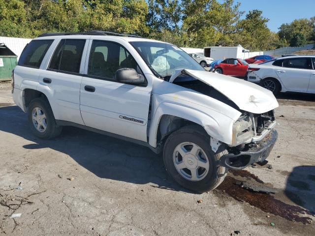 Photo 4 from auction – 2002 CHEVROLET TRAILBLAZER with VIN 1GNDT13S522493720