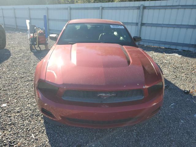 Photo 5 from auction – 2011 FORD MUSTANG with VIN 1ZVBP8AM8B5149201