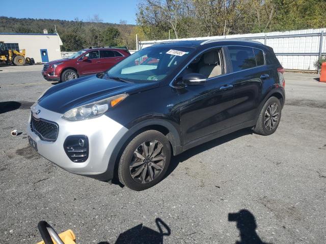 KIA SPORTAGE EX 2017 with VIN KNDPNCAC2H7260266 - Photo from auction