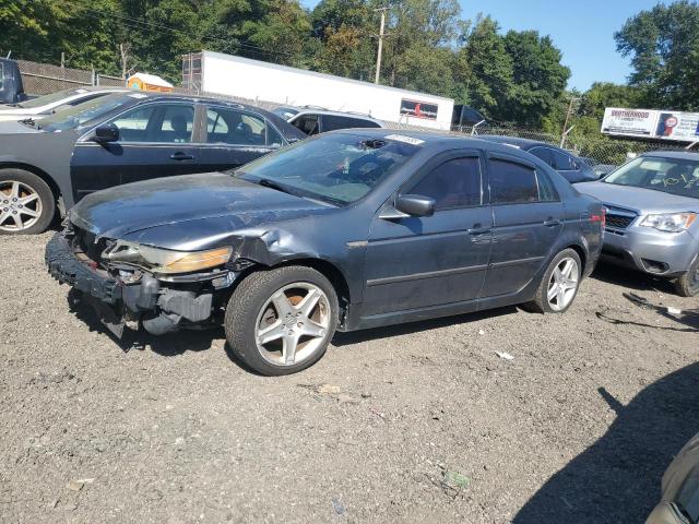 ACURA TL 2005 with VIN 19UUA66275A044607 - Photo from auction