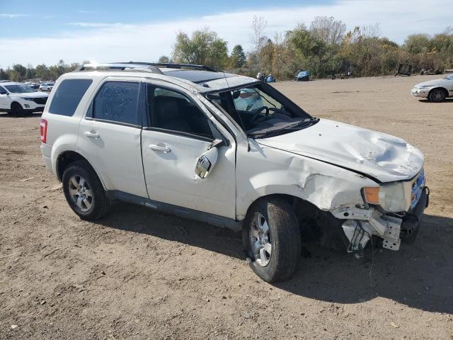 Photo 4 from auction – 2010 FORD ESCAPE LIM with VIN 1FMCU0EG1AKB80355