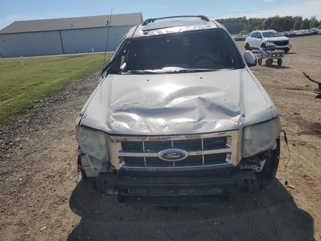 Photo 5 from auction – 2010 FORD ESCAPE LIM with VIN 1FMCU0EG1AKB80355