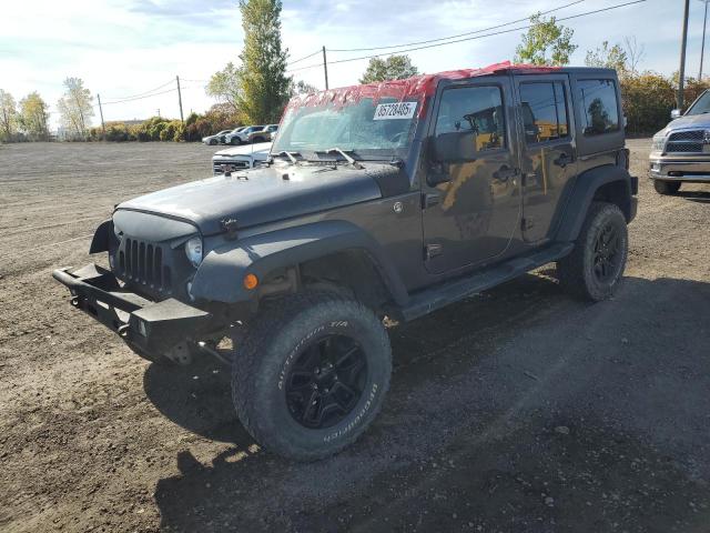 JEEP WRANGLER U 2017 with VIN 1C4BJWDG7HL649062 - Photo from auction