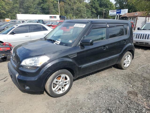 KIA SOUL + 2011 с VIN KNDJT2A24B7345081 - Фото с аукциона