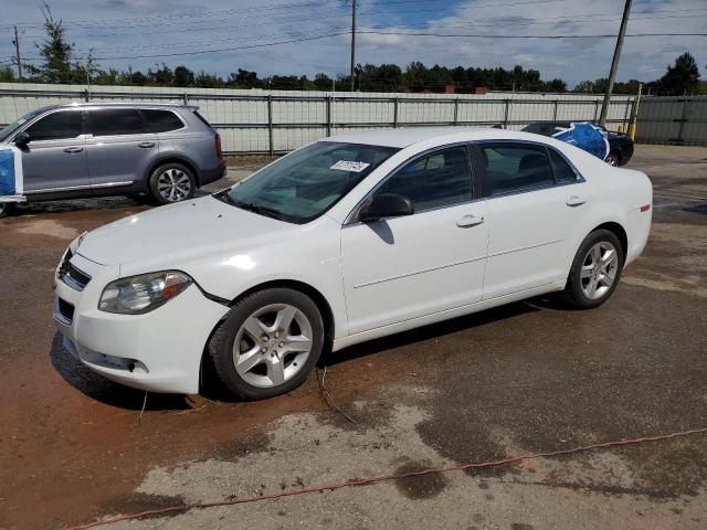 CHEVROLET MALIBU LS 2012 with VIN 1G1ZA5E01CF395987 - Photo from auction