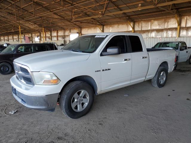 DODGE RAM 1500 2009 with VIN 1D3HV18T89S802927 - Photo from auction