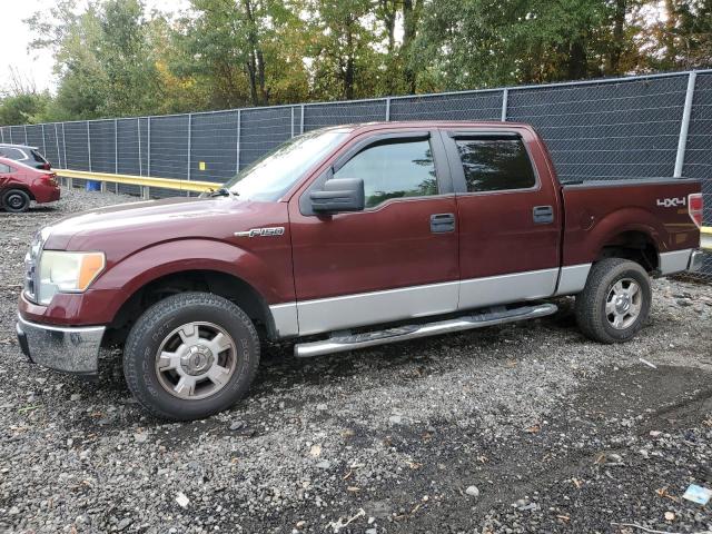 FORD F150 SUPER 2009 with VIN 1FTPW14V69FB00610 - Photo from auction