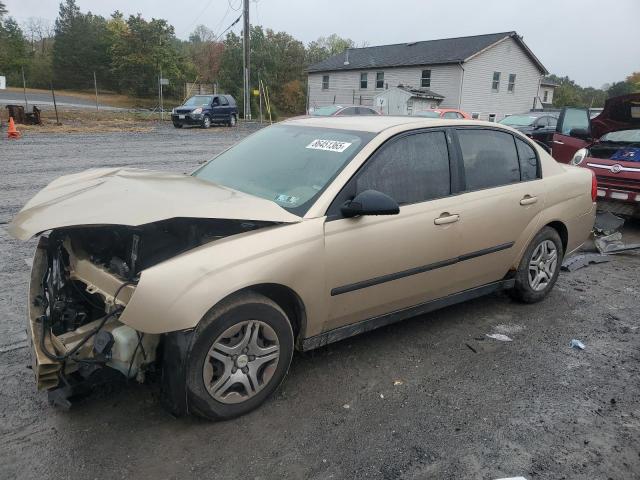 CHEVROLET MALIBU 2005 with VIN 1G1ZS52F05F123441 - Photo from auction