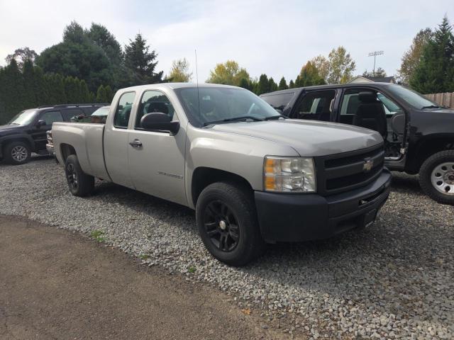 CHEVROLET SILVERADO 2009 with VIN 1GCEC19J39E127680 - Photo from auction