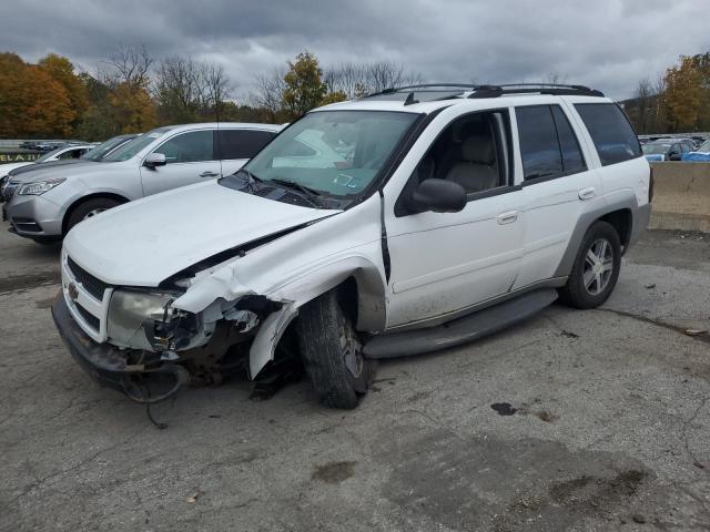 CHEVROLET TRAILBLAZE 2007 with VIN 1GNDT13S572202981 - Photo from auction