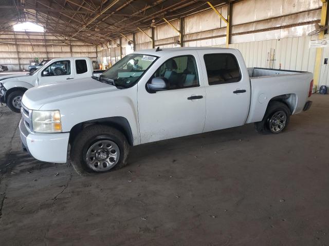 CHEVROLET SILVERADO 2008 with VIN 3GCEC13C18G132698 - Photo from auction