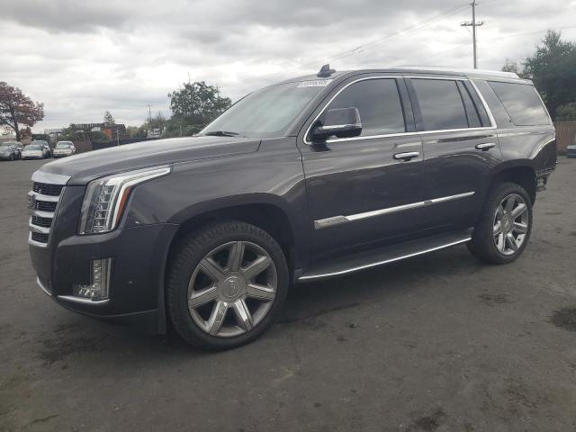 CADILLAC ESCALADE P 2017 with VIN 1GYS4CKJ5HR278799 - Photo from auction