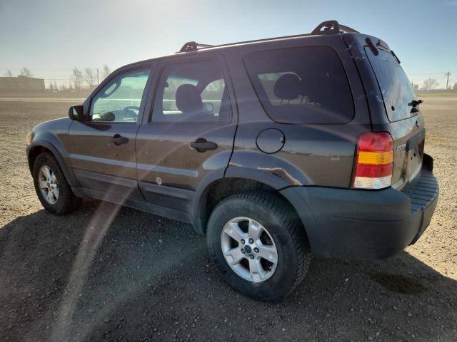 Photo 2 from auction – 2007 FORD ESCAPE XLT with VIN 1FMYU93137KA32385