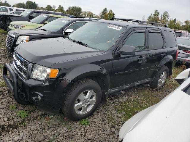 FORD ESCAPE XLT 2010 with VIN 1FMCU9DG5AKA78532 - Photo from auction