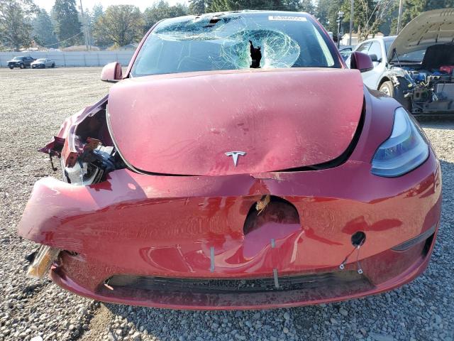 Photo 5 from auction – 2025 TESLA MODEL Y with VIN 7SAYGDED9SF251690