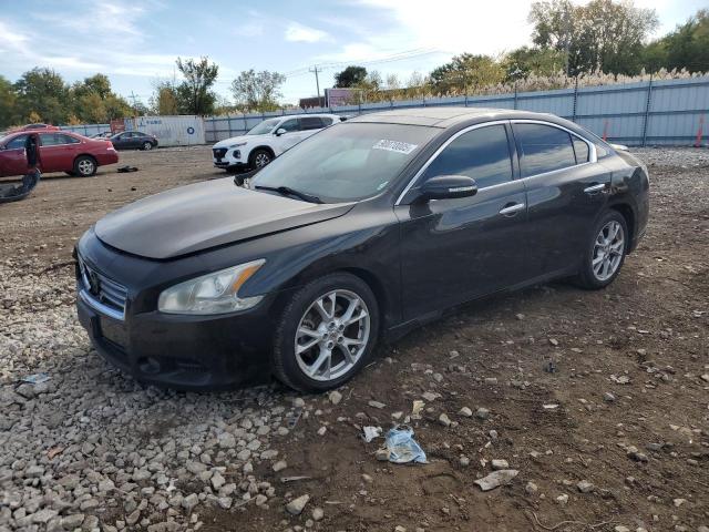 NISSAN MAXIMA S 2013 with VIN 1N4AA5AP4DC822384 - Photo from auction