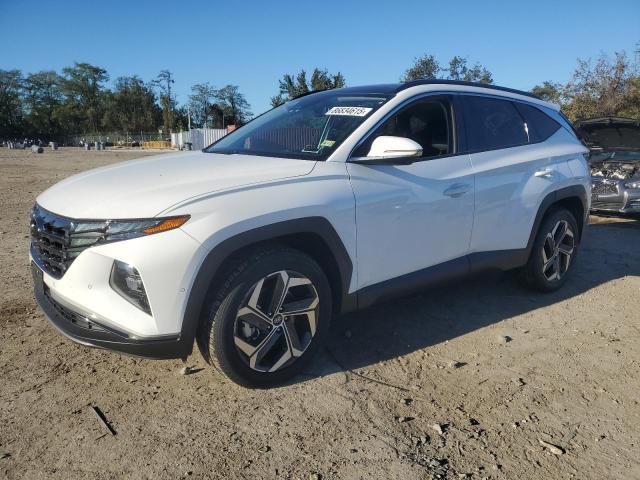 HYUNDAI TUCSON LIM 2023 with VIN 5NMJECAE6PH237085 - Photo from auction