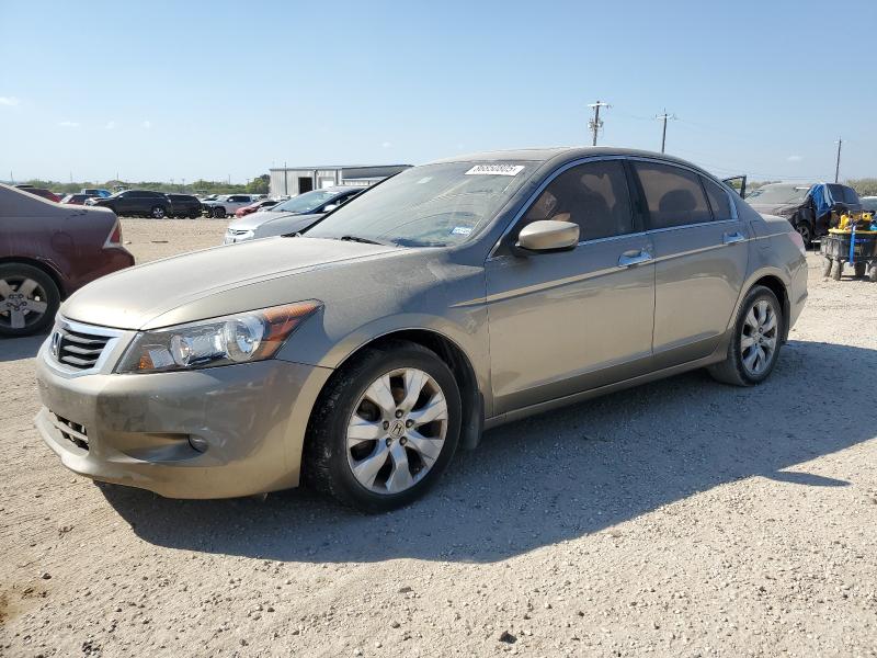 HONDA ACCORD EXL 2010 with VIN 5KBCP3F8XAB005508 - Photo from auction