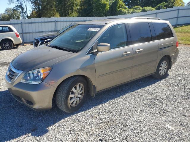 HONDA ODYSSEY EX 2010 with VIN 5FNRL3H67AB076181 - Photo from auction