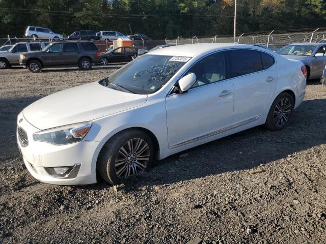 Photo 1 from auction – 2014 KIA CADENZA PR with VIN KNALN4D78E5166786