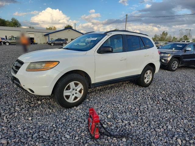 HYUNDAI SANTA FE G 2009 with VIN 5NMSG13D69H289102 - Photo from auction