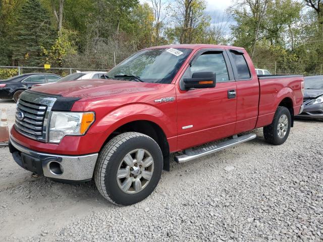 FORD F150 SUPER 2012 with VIN 1FTFX1ET3CFA37222 - Photo from auction