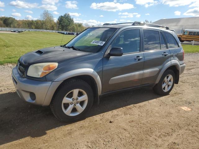 TOYOTA RAV4 2004 with VIN JTEHD20V246001437 - Photo from auction