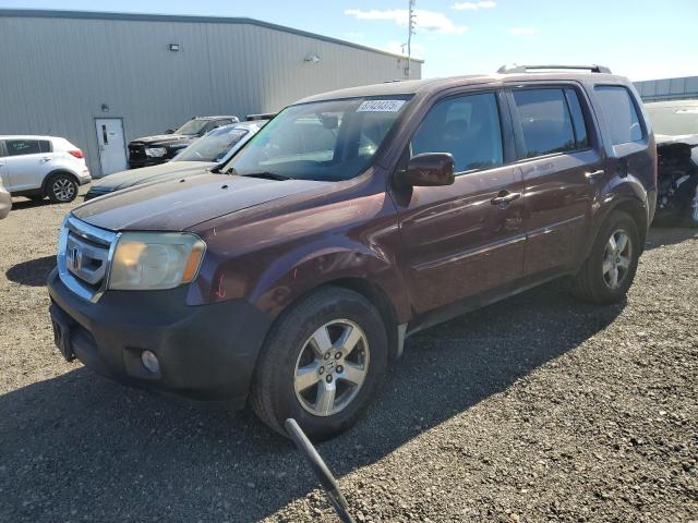 HONDA PILOT EXL 2009 with VIN 5FNYF48599B018441 - Photo from auction