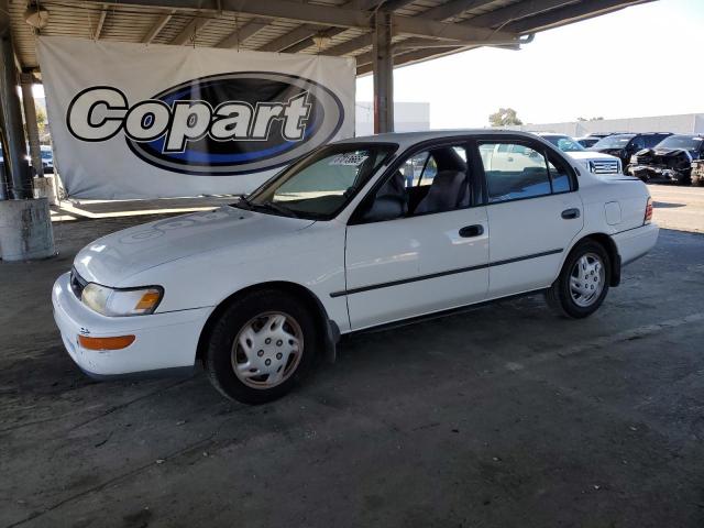 TOYOTA COROLLA LE 1995 z numerem VIN 1NXAE09B1SZ320588 - Zdjęcie z aukcji