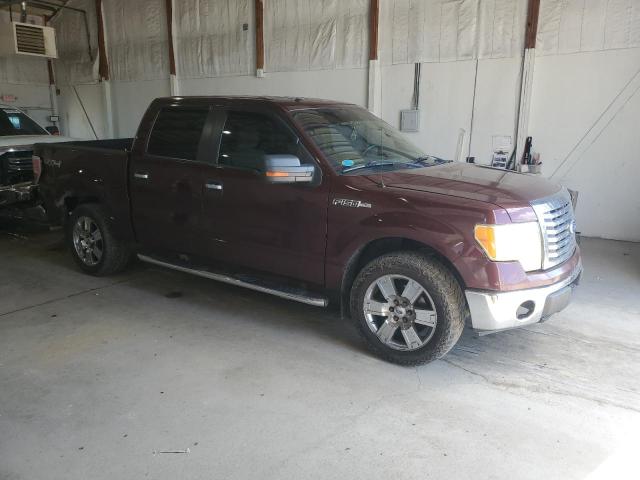 Photo 4 from auction – 2010 FORD F150 SUPER with VIN 1FTFW1EV4AFC47152