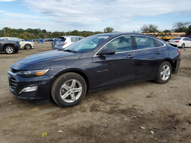 CHEVROLET MALIBU 2023 with VIN 1G1ZD5ST3PF185368 - Photo from auction
