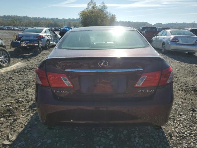 Photo 6 from auction – 2007 LEXUS ES 350 with VIN JTHBJ46G172144638