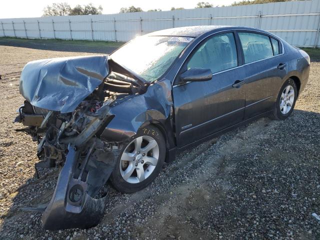 Photo 1 from auction – 2008 NISSAN ALTIMA HYB with VIN 1N4CL21E68C189988