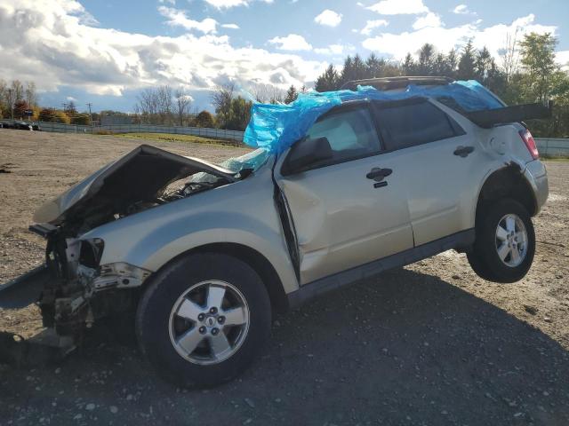FORD ESCAPE XLT 2010 with VIN 1FMCU0D70AKD31607 - Photo from auction