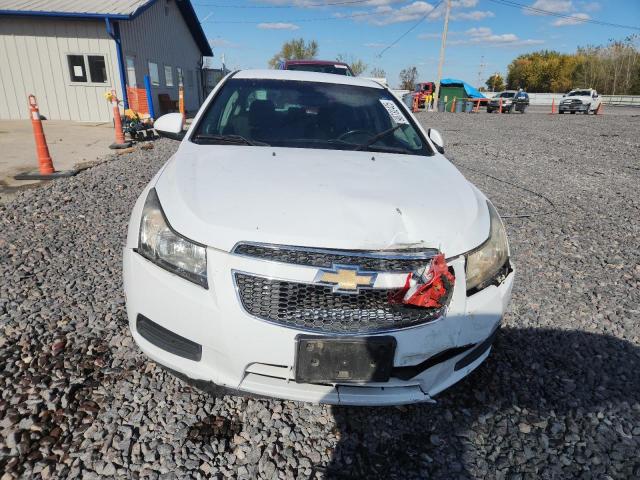 Photo 5 from auction – 2011 CHEVROLET CRUZE LT with VIN 1G1PF5S91B7129177