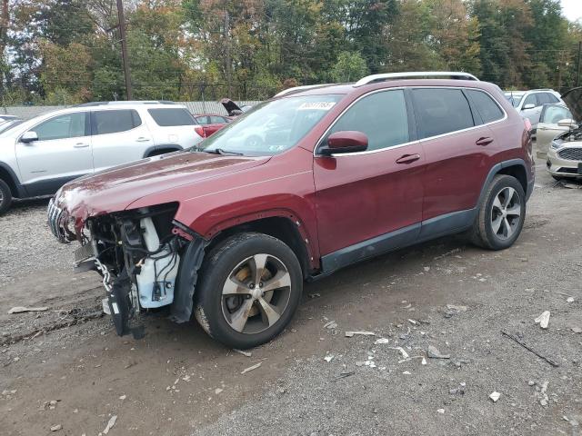 JEEP CHEROKEE L 2019 with VIN 1C4PJMDN6KD149291 - Photo from auction