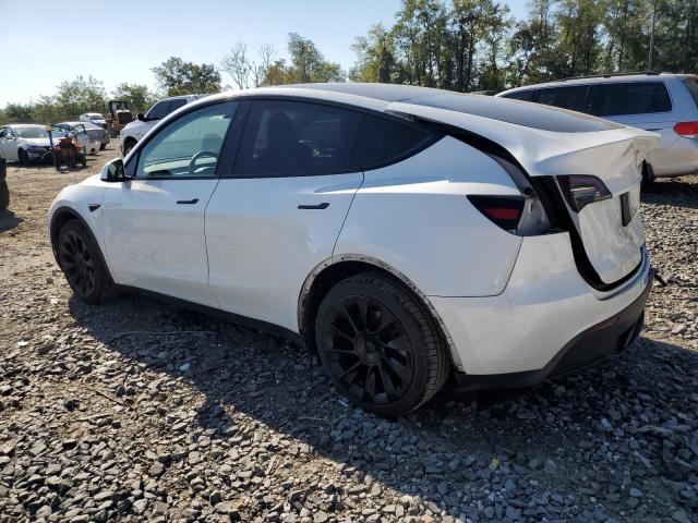 Photo 2 from auction – 2023 TESLA MODEL Y with VIN 7SAYGDEE6PF751404