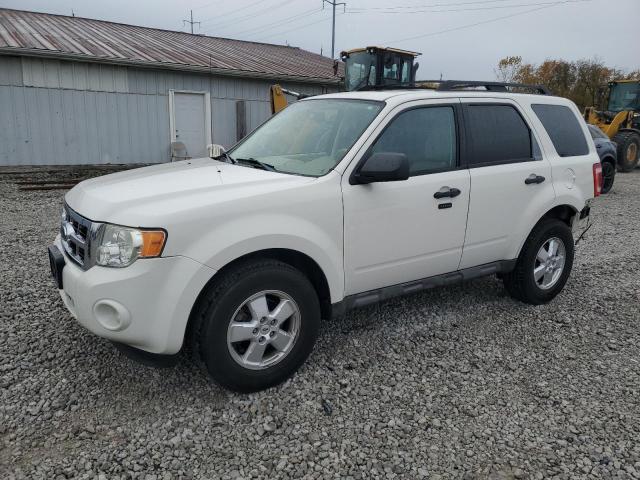Photo 1 from auction – 2009 FORD ESCAPE XLT with VIN 1FMCU03G79KB03956