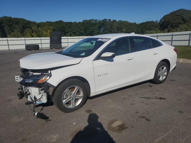 CHEVROLET MALIBU LT 2024 with VIN 1G1ZD5ST4RF153984 - Photo from auction