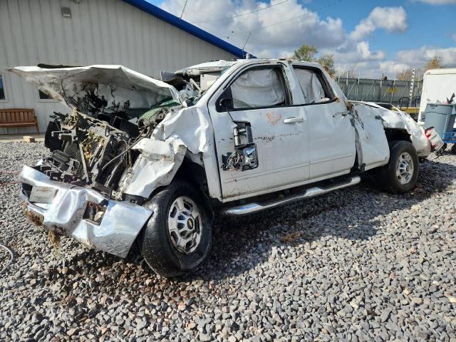 CHEVROLET SILVERADO 2019 with VIN 2GC2KSEGXK1161290 - Photo from auction