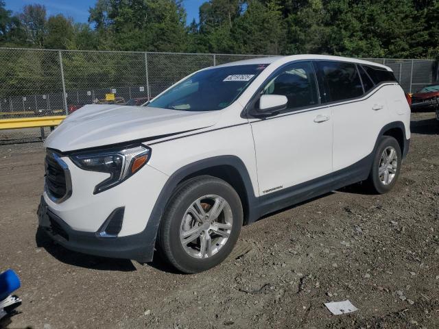 Photo 1 from auction – 2020 GMC TERRAIN SL with VIN 3GKALTEV1LL202892