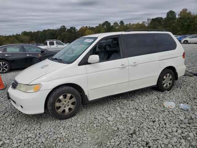 HONDA ODYSSEY EXL 2004 with VIN 5FNRL18064B046433 - Photo from auction