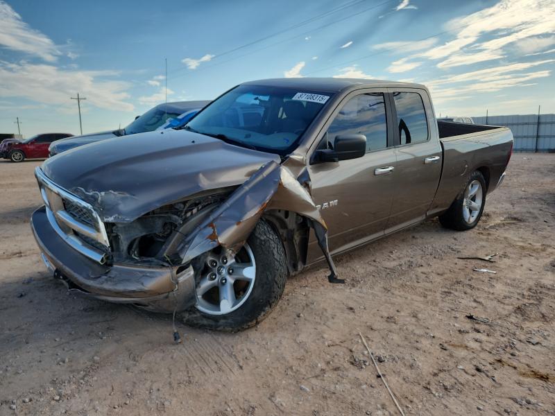 DODGE RAM 1500 2009 with VIN 1D3HV18P59S803391 - Photo from auction