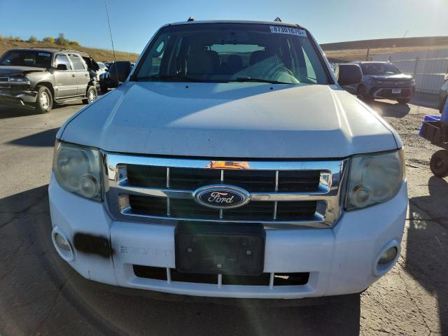 Photo 5 from auction – 2010 FORD ESCAPE XLT with VIN 1FMCU9DG4AKC43020