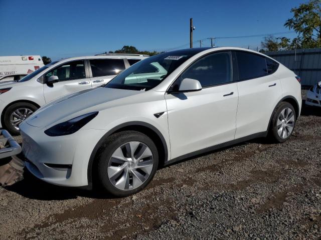 TESLA MODEL Y 2023 with VIN 7SAYGDED9PF923562 - Photo from auction