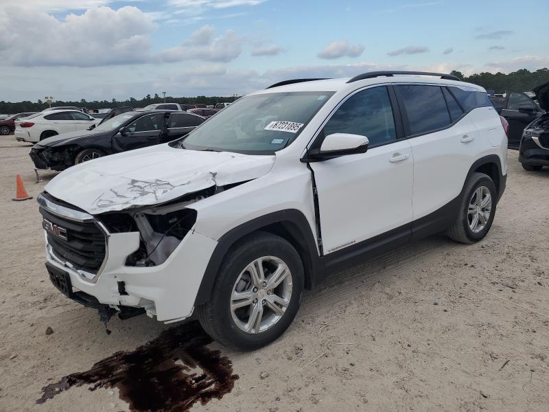 GMC TERRAIN SL 2024 with VIN 3GKALMEG6RL267673 - Photo from auction