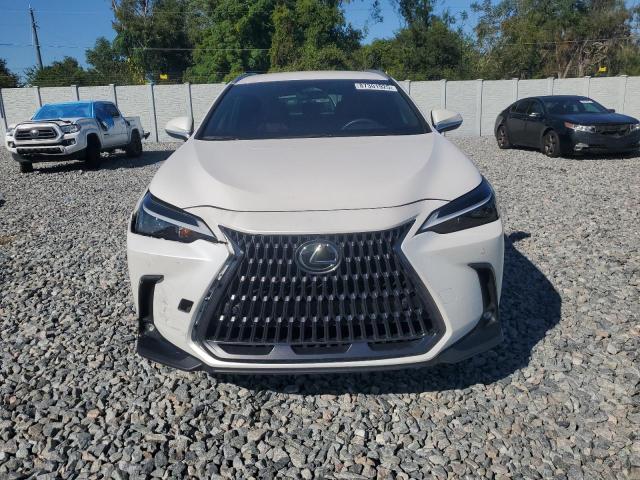 Photo 5 from auction – 2025 LEXUS NX 250 BAS with VIN 2T2ADCAZ7SC019270