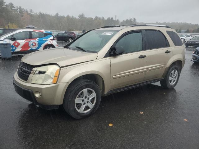 CHEVROLET EQUINOX LS 2005 with VIN 2CNDL13F356030697 - Photo from auction