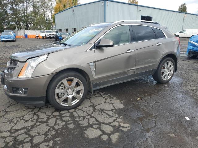 CADILLAC SRX PERFORMANCE COLLECTION 2011 with VIN 3GYFNEEY8BS509086 - Photo from auction