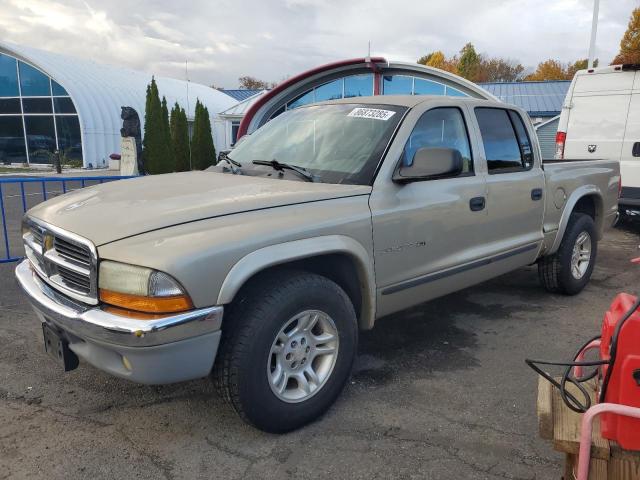 DODGE DAKOTA QUA 2002 with VIN 1B7HL48X02S720473 - Photo from auction